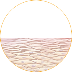 Rapid Itch Neutralization