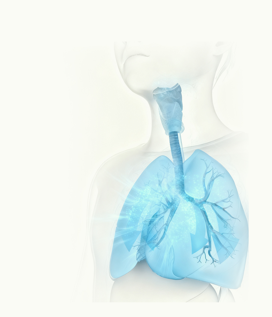 Micron Atomization home compressor nebulizer device